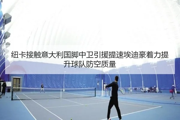 纽卡接触意大利国脚中卫引援提速埃迪豪着力提升球队防空质量